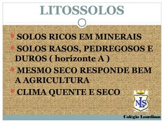 LITOSSOLOS
SOLOS RICOS EM MINERAIS
SOLOS RASOS, PEDREGOSOS E
 DUROS ( horizonte A )
MESMO SECO RESPONDE BEM
 A AGRICULTURA
CLIMA QUENTE E SECO


                    Colégio Lourdinas
 