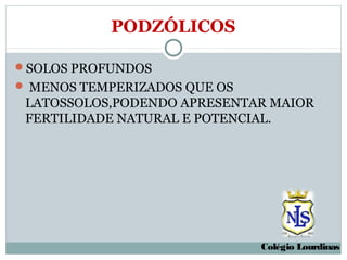 PODZÓLICOS

SOLOS PROFUNDOS
 MENOS TEMPERIZADOS QUE OS
 LATOSSOLOS,PODENDO APRESENTAR MAIOR
 FERTILIDADE NATURAL E POTENCIAL.




                              Colégio Lourdinas
 