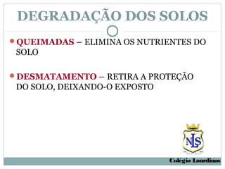 DEGRADAÇÃO DOS SOLOS
QUEIMADAS – ELIMINA OS NUTRIENTES DO
 SOLO

DESMATAMENTO – RETIRA A PROTEÇÃO
 DO SOLO, DEIXANDO-O EXPOSTO




                               Colégio Lourdinas
 