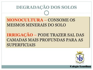 DEGRADAÇÃO DOS SOLOS

MONOCULTURA – CONSOME OS
MONOCULTURA – CONSOME OS
MESMOS MINERAIS DO SOLO
MESMOS MINERAIS DO SOLO

IRRIGAÇÃO – PODE TRAZER SAL DAS
IRRIGAÇÃO – PODE TRAZER SAL DAS
CAMADAS MAIS PROFUNDAS PARA AS
CAMADAS MAIS PROFUNDAS PARA AS
SUPERFICIAIS
SUPERFICIAIS




                         Colégio Lourdinas
 