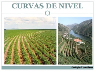 CURVAS DE NIVEL




            Colégio Lourdinas
 