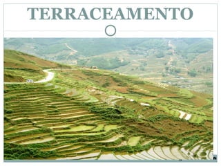 TERRACEAMENTO




          Colégio Lourdinas
 