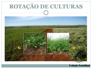 ROTAÇÃO DE CULTURAS




               Colégio Lourdinas
 