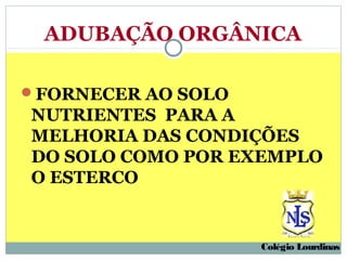ADUBAÇÃO ORGÂNICA

FORNECER AO SOLO
NUTRIENTES PARA A
MELHORIA DAS CONDIÇÕES
DO SOLO COMO POR EXEMPLO
O ESTERCO


                    Colégio Lourdinas
 