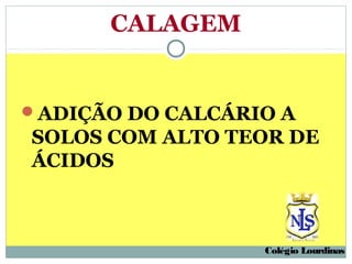 CALAGEM


ADIÇÃO DO CALCÁRIO A
SOLOS COM ALTO TEOR DE
ÁCIDOS



                  Colégio Lourdinas
 