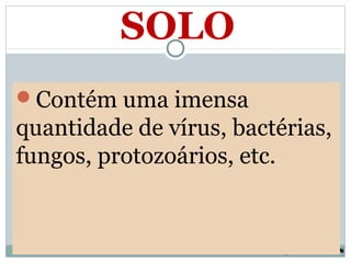 SOLO
Contém uma imensa
quantidade de vírus, bactérias,
fungos, protozoários, etc.


                        Colégio Lourdinas
 
