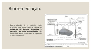 Biorremediação:
◦ Biorremediação é o método mais
ecológico que existe, pois se baseia na
utilização de fungos, leveduras e
bactérias no solo contaminado, de
forma que estes promovam a digestão
dos contaminantes.
 