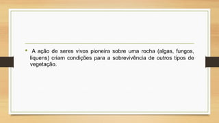 •

A ação de seres vivos pioneira sobre uma rocha (algas, fungos,
liquens) criam condições para a sobrevivência de outros tipos de
vegetação.

 
