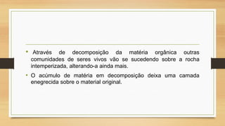 •

Através de decomposição da matéria orgânica outras
comunidades de seres vivos vão se sucedendo sobre a rocha
intemperizada, alterando-a ainda mais.

• O acúmulo de matéria em decomposição deixa uma camada
enegrecida sobre o material original.

 