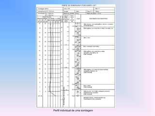 Perfil individual de uma sondagem
 