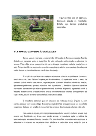 66
Figura 3: Rolo-faca em operação,
tracionado através de microtrator.
Detalhe das lâminas longitudinais
secionadas
8.1.1 MANEJO DA OPERAÇÃO DE ROLAGEM
Com o uso do rolo-faca o material não é triturado de forma demasiada, ficando
deitado em camadas sobre a superfície do solo, deixando uniformizada a cobertura no
terreno (Figura 4) e ainda proporcionando menor área de contato do material vegetal com o
solo. Por conseqüência, oportuniza uma decomposição gradativa e um período de cobertura
maior do que os demais sistemas mecânicos de manejo.
A função da operação de rolagem é amassar e prostrar as plantas de cobertura,
desidratando-as, para facilitar a operação de semeadura. É importante evitar o efeito de
corte na porção inferior das plantas, cujas espécies possuem tendência natural ao rebrote,
geralmente gramíneas, que são indicadas para o pastoreio. O trajeto da operação deve ser
no mesmo sentido em que ficarão posteriormente as linhas de plantio, agilizando assim o
trabalho da semeadora. O acamamento evita o estiolamento das culturas, principalmente de
soja e milho, devido a menor concorrência pela luminosidade.
É importante salientar que em situações de restevas densas (Figura 4), com
plantas secas e com baixo estágio de decomposição (milho), a rolagem deve ser executada
no período da tarde em função do menor teor de umidade dos resíduos culturais e do solo.
Nas áreas de pousio, com capoeiras para posterior uso com culturas anuais, que
ocorre com freqüência em áreas com tração animal, é importante evitar a prática da
queimada após as operações das roçadas. Em tais situações, uma alternativa proposta e
adaptável é o manejo da vegetação com rolo-faca a cada dois anos, evitando que a
 
