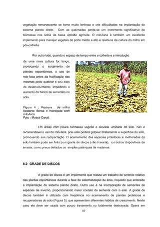 67
vegetação remanescente se torne muito lenhosa e crie dificuldades na implantação do
sistema plantio direto. Com as queimadas perde-se um incremento significativo de
biomassa nos solos de baixa aptidão agrícola. O rolo-faca é também um excelente
implemento para manejar vegetais de porte médio a alto e resíduos da cultura do milho em
pós-colheita.
Por outro lado, quando o espaço de tempo entre a colheita e a introdução
Em áreas com pouca biomassa vegetal e elevada umidade do solo, não é
recomendável o uso do rolo-faca, pois este poderá golpear diretamente a superfície do solo,
promovendo sua compactação. O acamamento das espécies protetoras e melhoradas do
solo também pode ser feito com grade de discos (não travada), ou outros dispositivos de
arraste, como pneus deitados ou simples palanques de madeiras.
8.2 GRADE DE DISCOS
A grade de discos é um implemento que realiza um trabalho de controle relativo
das plantas espontâneas durante a fase de sistematização da área, requisito que antecede
a implantação do sistema plantio direto. Outro uso é na incorporação de sementes de
espécies de inverno, proporcionando maior contato da semente com o solo. A grade de
discos também é utilizada com freqüência no acamamento de plantas protetoras e
recuperadoras do solo (Figura 5), que apresentam diferentes hábitos de crescimento. Neste
caso ela deve ser usada com pouco travamento ou totalmente destravada. Opera em
de uma nova cultura for longo,
provocando o surgimento de
plantas espontâneas, o uso de
rolo-faca antes da frutificação das
mesmas pode quebrar o seu ciclo
de desenvolvimento, impedindo o
aumento do banco de sementes no
solo.
Figura 4 : Resteva de milho
bastante densa e manejada com
rolo-faca.
Foto : Moacir Darolt
 
