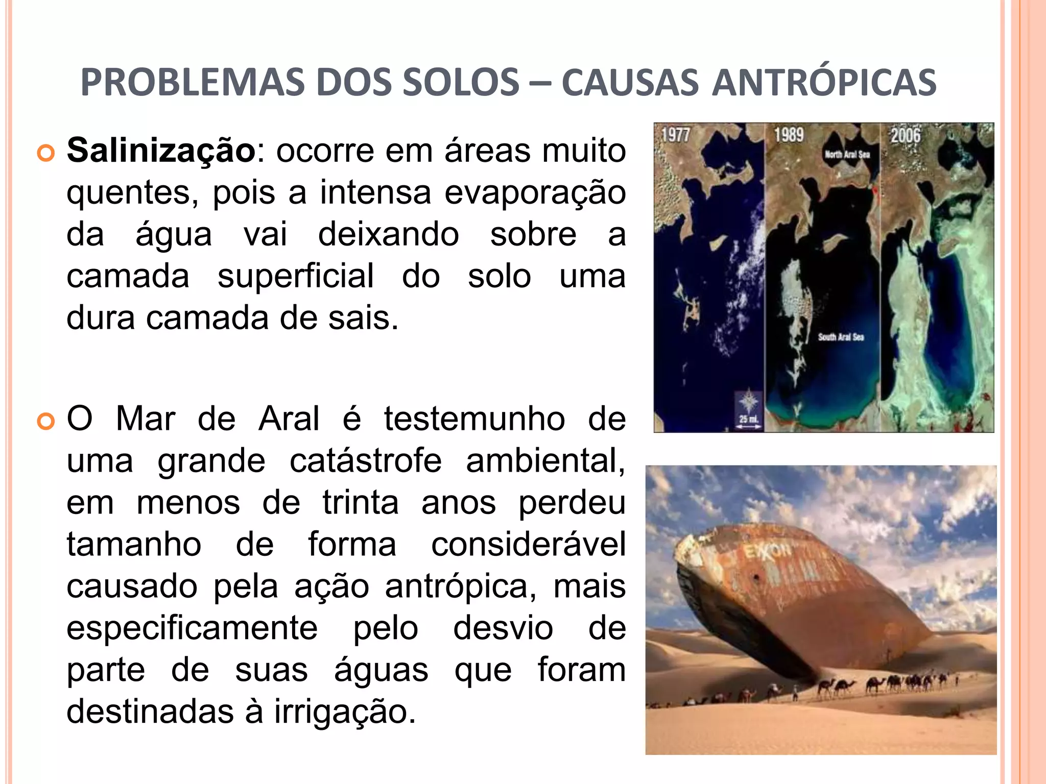 PROBLEMAS DOS SOLOS – CAUSAS ANTRÓPICAS
 Salinização: ocorre em áreas muito
quentes, pois a intensa evaporação
da água vai deixando sobre a
camada superficial do solo uma
dura camada de sais.
 O Mar de Aral é testemunho de
uma grande catástrofe ambiental,
em menos de trinta anos perdeu
tamanho de forma considerável
causado pela ação antrópica, mais
especificamente pelo desvio de
parte de suas águas que foram
destinadas à irrigação.
 