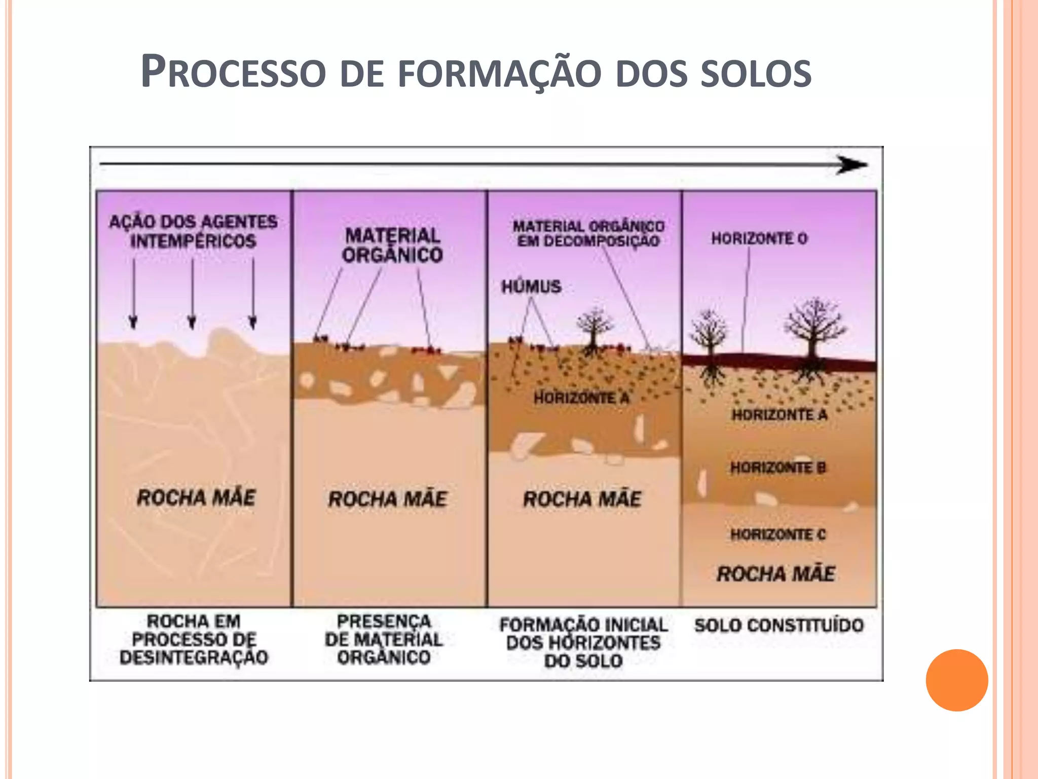 PROCESSO DE FORMAÇÃO DOS SOLOS
 