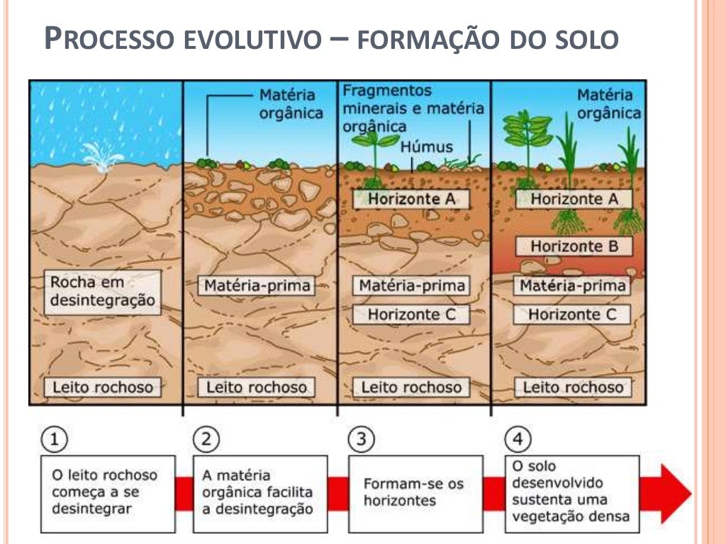 Como Ocorre A Degradação Do Solo - RETOEDU
