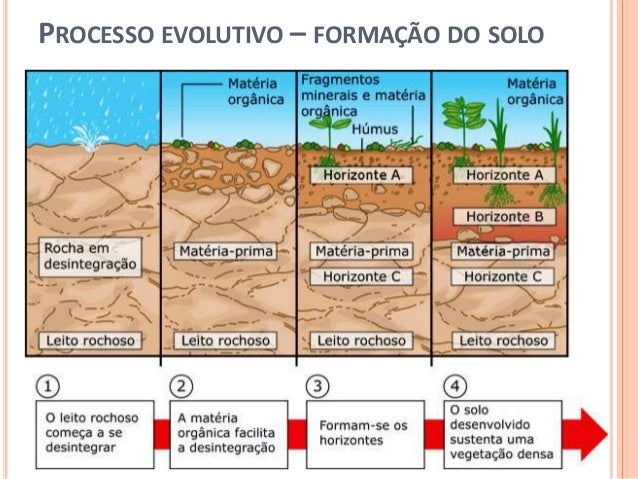 Solos: origem, evolução, degradação e conservação