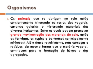 Organismos


Os animais que se abrigam no solo estão
constantemente triturando os restos dos vegetais,
cavando galerias e misturando materiais dos
diversos horizontes. Entre os quais podem promover
grande movimentação dos materiais do solo, estão
as formigas, os cupins e os vermes (principalmente
minhocas). Além desse revolvimento, suas carcaças e
resíduos, da mesma forma que a matéria vegetal,
contribuem para a formação do húmus e dos
agregados.

 
