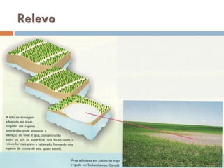 Relevo

 