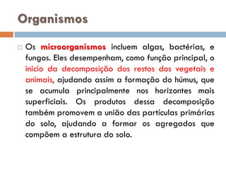 Organismos


Os microorganismos incluem algas, bactérias, e
fungos. Eles desempenham, como função principal, o
inicio da decomposição dos restos dos vegetais e
animais, ajudando assim a formação do húmus, que
se acumula principalmente nos horizontes mais
superficiais. Os produtos dessa decomposição
também promovem a união das partículas primárias
do solo, ajudando a formar os agregados que
compõem a estrutura do solo.

 