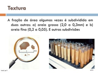 Textura
A fração de área algumas vezes é subdividida em
duas outras: a) areia grossa (2,0 a 0,3mm) e b)
areia fina (0,2 a 0,05). E outras subdivisões

Lepsh, Igo F.

upf.br

 