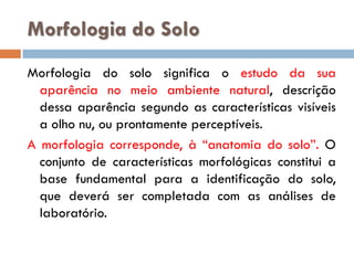 Morfologia do Solo
Morfologia do solo significa o estudo da sua
aparência no meio ambiente natural, descrição
dessa aparência segundo as características visíveis
a olho nu, ou prontamente perceptíveis.
A morfologia corresponde, à “anatomia do solo”. O
conjunto de características morfológicas constitui a
base fundamental para a identificação do solo,
que deverá ser completada com as análises de
laboratório.

 