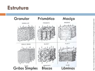 Granular
Prismático

Grãos Simples Blocos
Maciça

Lâminas

http://www.webartigos.com/articles/25011/1/A-Estrutura-e-a-Drenagem-do-Solo/pagina1.html

Estrutura

 