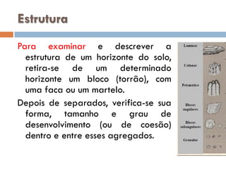 Estrutura
Para examinar e descrever a
estrutura de um horizonte do solo,
retira-se de um determinado
horizonte um bloco (torrão), com
uma faca ou um martelo.
Depois de separados, verifica-se sua
forma, tamanho e grau de
desenvolvimento (ou de coesão)
dentro e entre esses agregados.

 