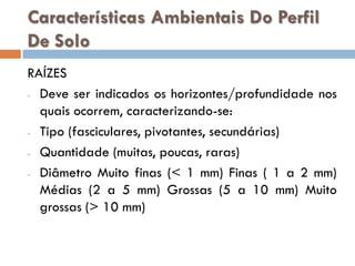 Características Ambientais Do Perfil
De Solo
RAÍZES
- Deve ser indicados os horizontes/profundidade nos
quais ocorrem, caracterizando-se:
- Tipo (fasciculares, pivotantes, secundárias)
- Quantidade (muitas, poucas, raras)
- Diâmetro Muito finas (< 1 mm) Finas ( 1 a 2 mm)
Médias (2 a 5 mm) Grossas (5 a 10 mm) Muito
grossas (> 10 mm)

 