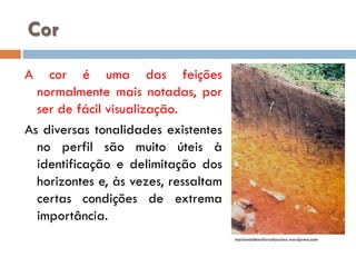 Cor
A

cor é uma das feições
normalmente mais notadas, por
ser de fácil visualização.
As diversas tonalidades existentes
no perfil são muito úteis à
identificação e delimitação dos
horizontes e, às vezes, ressaltam
certas condições de extrema
importância.
marianaideiasforadacaixa.wordpress.com

 
