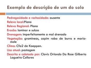 Exemplo de descrição de um do solo
Pedregosidade e rochosidade: ausente
Relevo local:Plano
Relevo Regional: Plano
Erosão: laminar e sulcos
Drenagem: imperfeitamente a mal drenado
Vegetação: gramíneas, capim rabo de burro e mariamole
Clima: Cfa2 de Koeppen.
Uso atual: pastagem
Descrito e coletado por: Clovis Orlando Da Rose Gilberto
Logueiro Collares

 