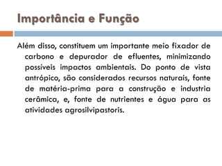 Importância e Função
Além disso, constituem um importante meio fixador de
carbono e depurador de efluentes, minimizando
possíveis impactos ambientais. Do ponto de vista
antrópico, são considerados recursos naturais, fonte
de matéria-prima para a construção e industria
cerâmica, e, fonte de nutrientes e água para as
atividades agrosilvipastoris.

 
