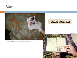 Cor
Tabela Munsel

Lepsh, Igo F.

http://lyricsdog.eu/s/munsell%20soil%20colour%20chart

 
