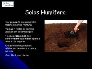 Solos Humífero   Cor  escura  (o que demonstra matéria orgânica HÚMOS) húmus  = restos de animais vegetais em decomposição  Possui  organismos  que  transformam  esta  matéria  para a nutrição de vegetais Geralmente encontramos  minhocas , tatuzinhos e outros animais Solo  fértil  para plantio 