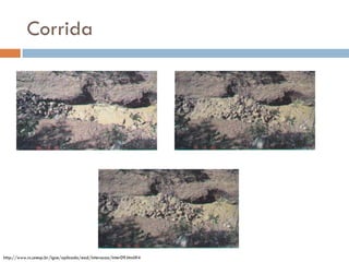 Corrida

http://www.rc.unesp.br/igce/aplicada/ead/interacao/inter09.html#4

 