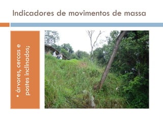 • árvores, cercas e
postes inclinados;

Indicadores de movimentos de massa

 