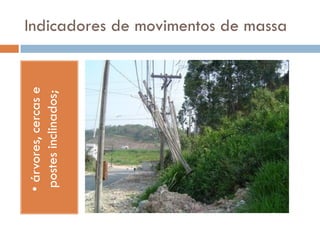 • árvores, cercas e
postes inclinados;

Indicadores de movimentos de massa

 