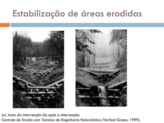 Estabilização de áreas erodidas

(a) início da intervenção (b) após a intervenção
Controle de Erosão com Técnicas de Engenharia Naturalística (Vertical Green, 1999).

 