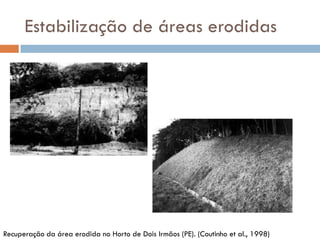 Estabilização de áreas erodidas

Recuperação da área erodida no Horto de Dois Irmãos (PE). (Coutinho et al., 1998)

 