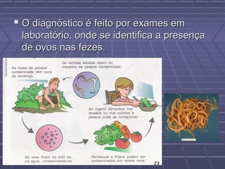  O diagnóstico é feito por exames em
 laboratório, onde se identifica a presença
 de ovos nas fezes.
 