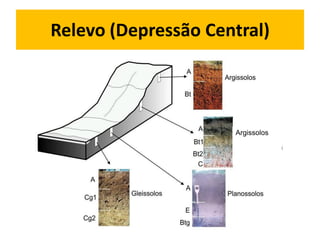 Relevo (Depressão Central)




                     Argissolos
 
