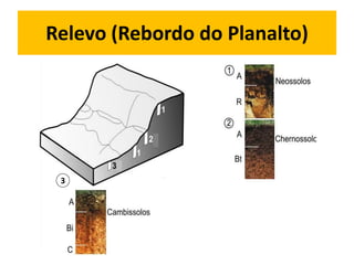 Relevo (Rebordo do Planalto)




 3
 