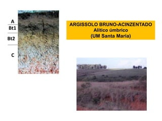 A
      ARGISSOLO BRUNO-ACINZENTADO
Bt1           Alítico úmbrico
             (UM Santa Maria)
Bt2


 C
 