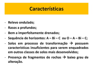 Características

- Relevo ondulado;
- Rasos a profundos;
- Bem a imperfeitamente drenados;
- Sequência de horizontes: A – Bi – C ou O – A – Bi – C;
- Solos em processo de transformação  possuem
  características insuficientes para serem enquadrados
  em outras classes de solos mais desenvolvidos;
- Presença de fragmentos de rochas  baixo grau de
  alteração.
 
