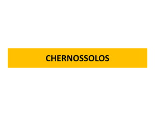 CHERNOSSOLOS
 