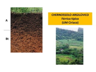 CHERNOSSOLO ARGILÚVICO
          Férrico típico
A
           (UM Ciríaco)




Bt
 