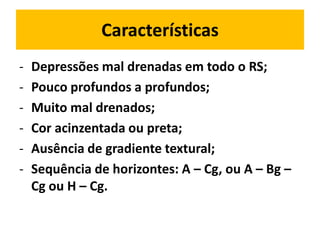 Características
-   Depressões mal drenadas em todo o RS;
-   Pouco profundos a profundos;
-   Muito mal drenados;
-   Cor acinzentada ou preta;
-   Ausência de gradiente textural;
-   Sequência de horizontes: A – Cg, ou A – Bg –
    Cg ou H – Cg.
 