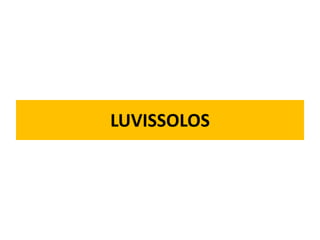 LUVISSOLOS
 