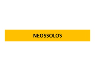 NEOSSOLOS
 
