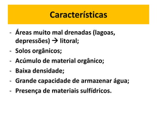 Características
- Áreas muito mal drenadas (lagoas,
  depressões)  litoral;
- Solos orgânicos;
- Acúmulo de material orgânico;
- Baixa densidade;
- Grande capacidade de armazenar água;
- Presença de materiais sulfídricos.
 