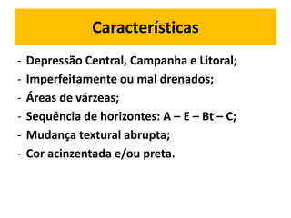 Características
-   Depressão Central, Campanha e Litoral;
-   Imperfeitamente ou mal drenados;
-   Áreas de várzeas;
-   Sequência de horizontes: A – E – Bt – C;
-   Mudança textural abrupta;
-   Cor acinzentada e/ou preta.
 